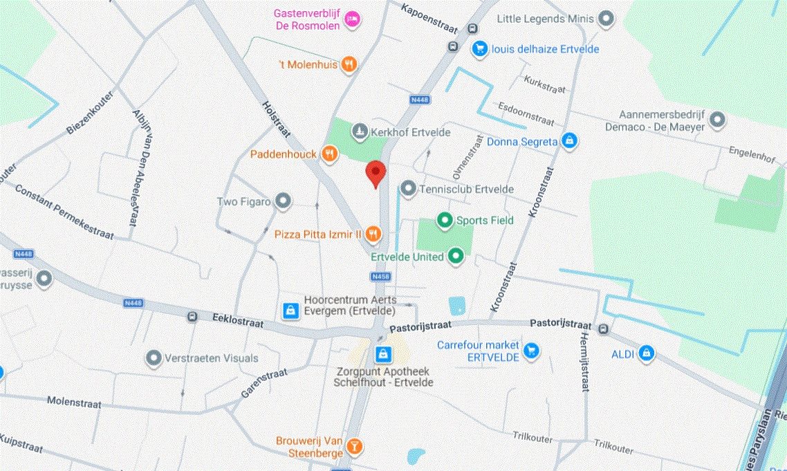 Renovatieproject met diepe tuin in hartje Ertvelde - foto 10