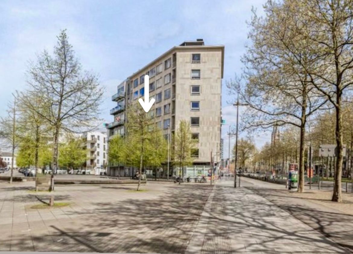 Top appartementje aan vogelmarkt - foto 10