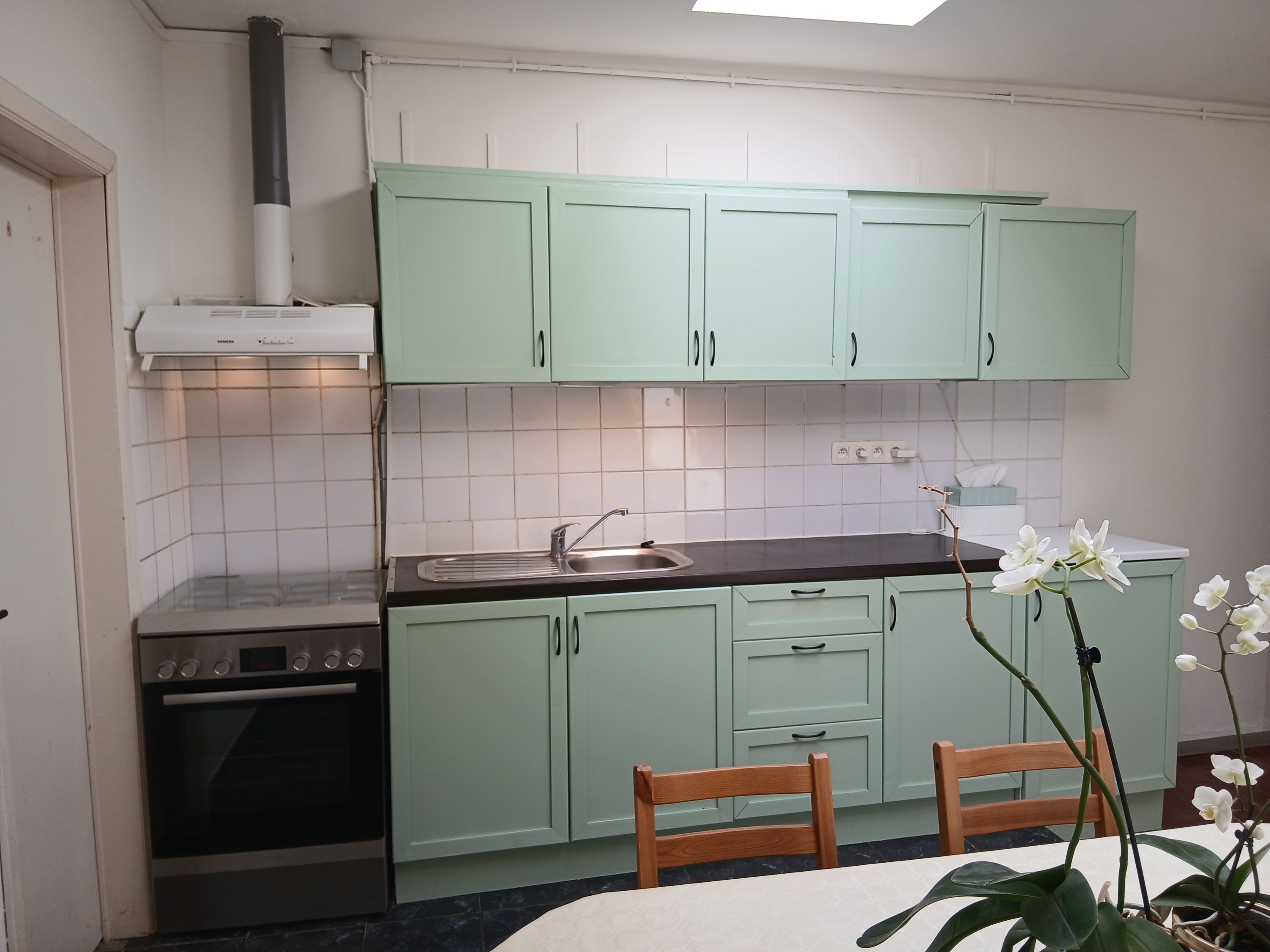 Instapklare woning in rustig doodlopend straatje in de Muide - foto 3