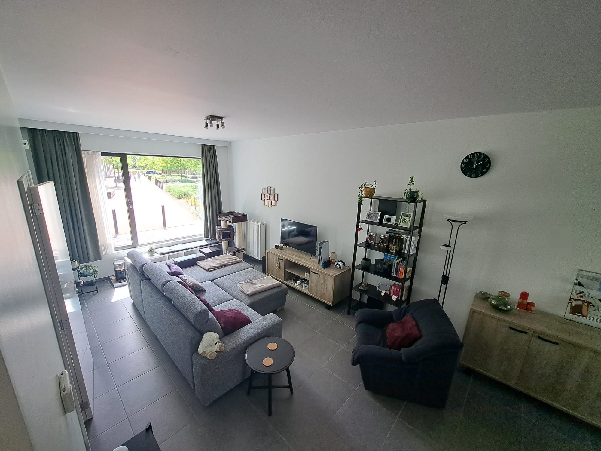 Instapklare rijwoning met carport in Niefhout (Turnhout) - foto 3