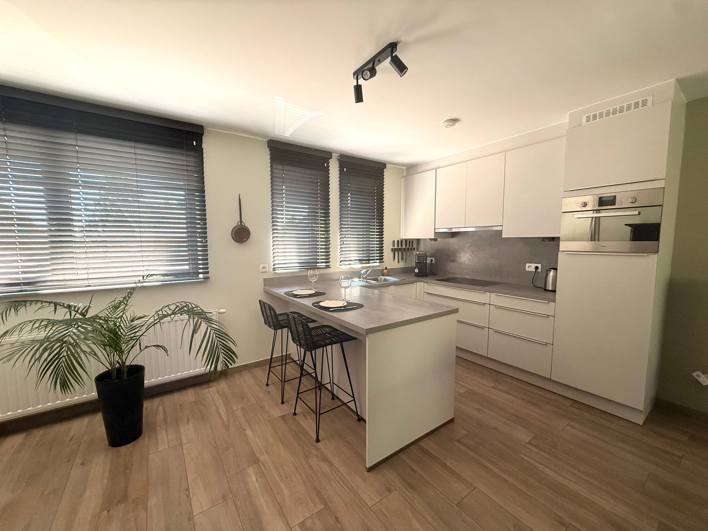 EPC A-woning met dubbele garage en 9,03 are grond - foto 3
