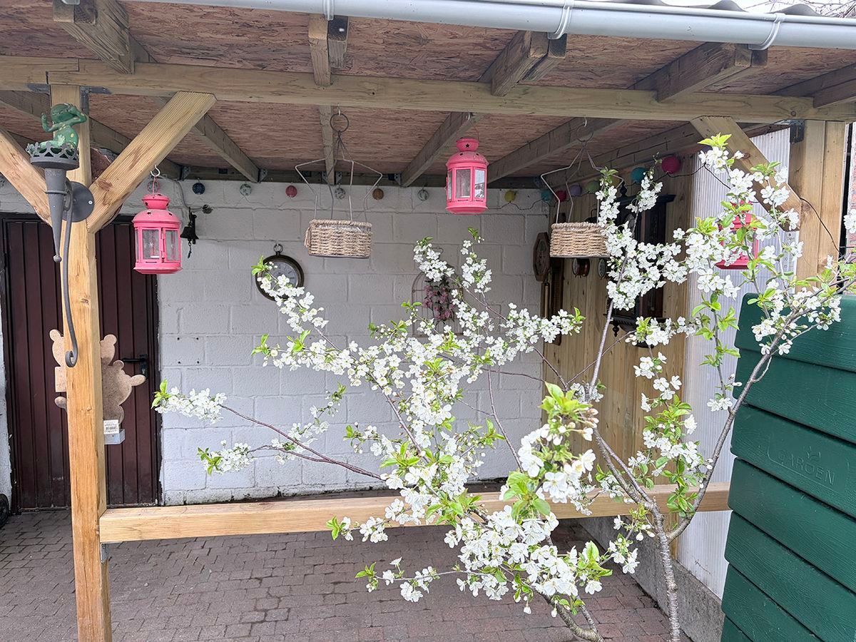 Instapklare woning met 3 slaapkamers , garage en prachtige tuin. - foto 5