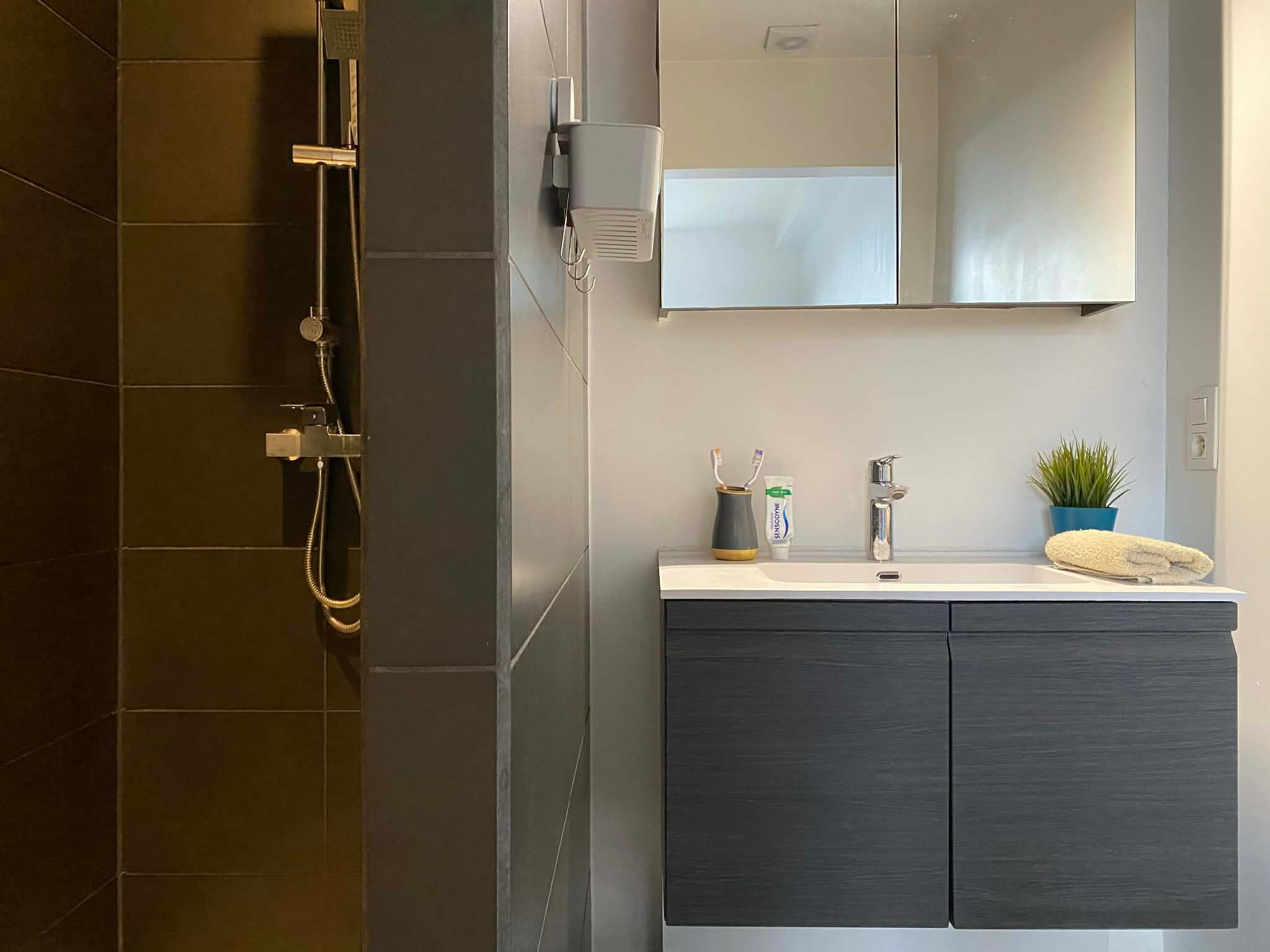 Gerenoveerd 1 slaapkamer appartement te Merksem - foto 8