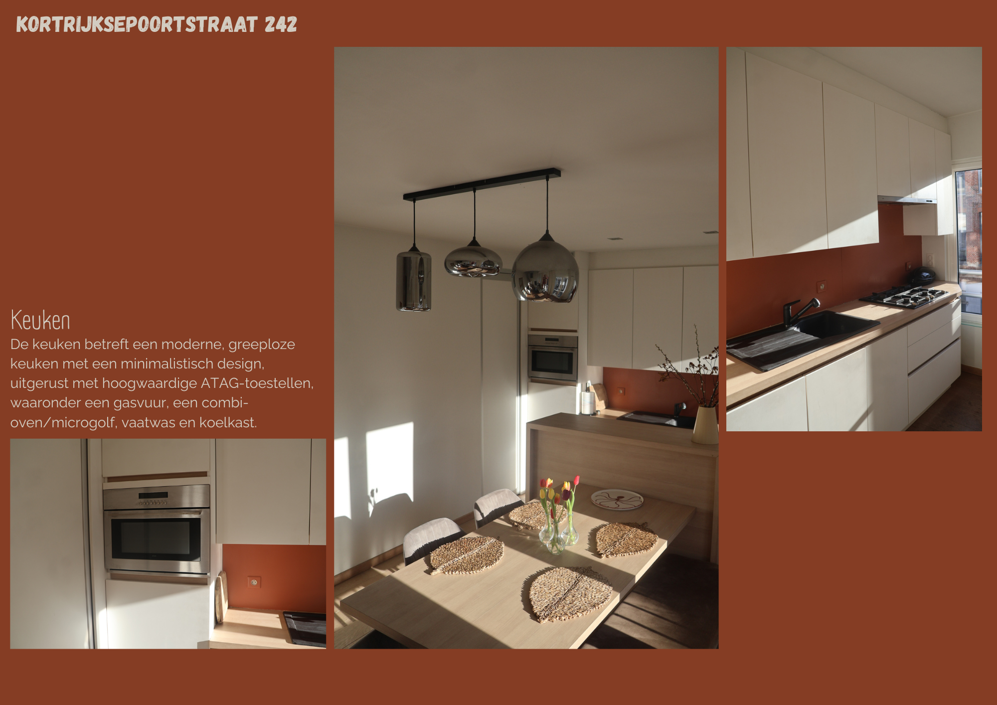 Lichtrijke Duplex met Panoramisch Dakterras in hartje Gent - foto 3