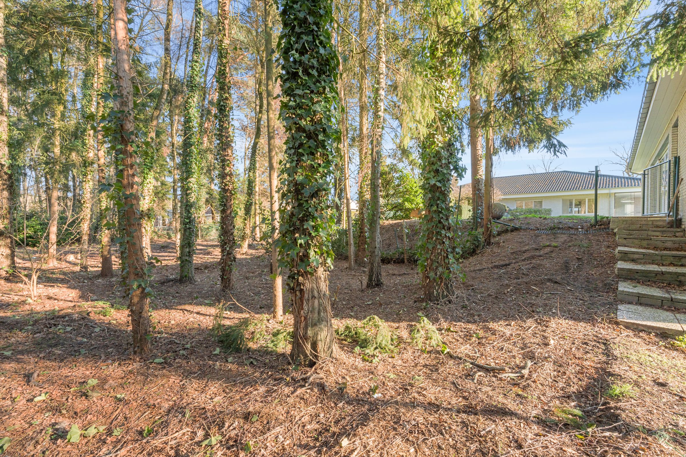 Exclusieve villa met bijgebouw op 2500m2 te Retie - foto 23