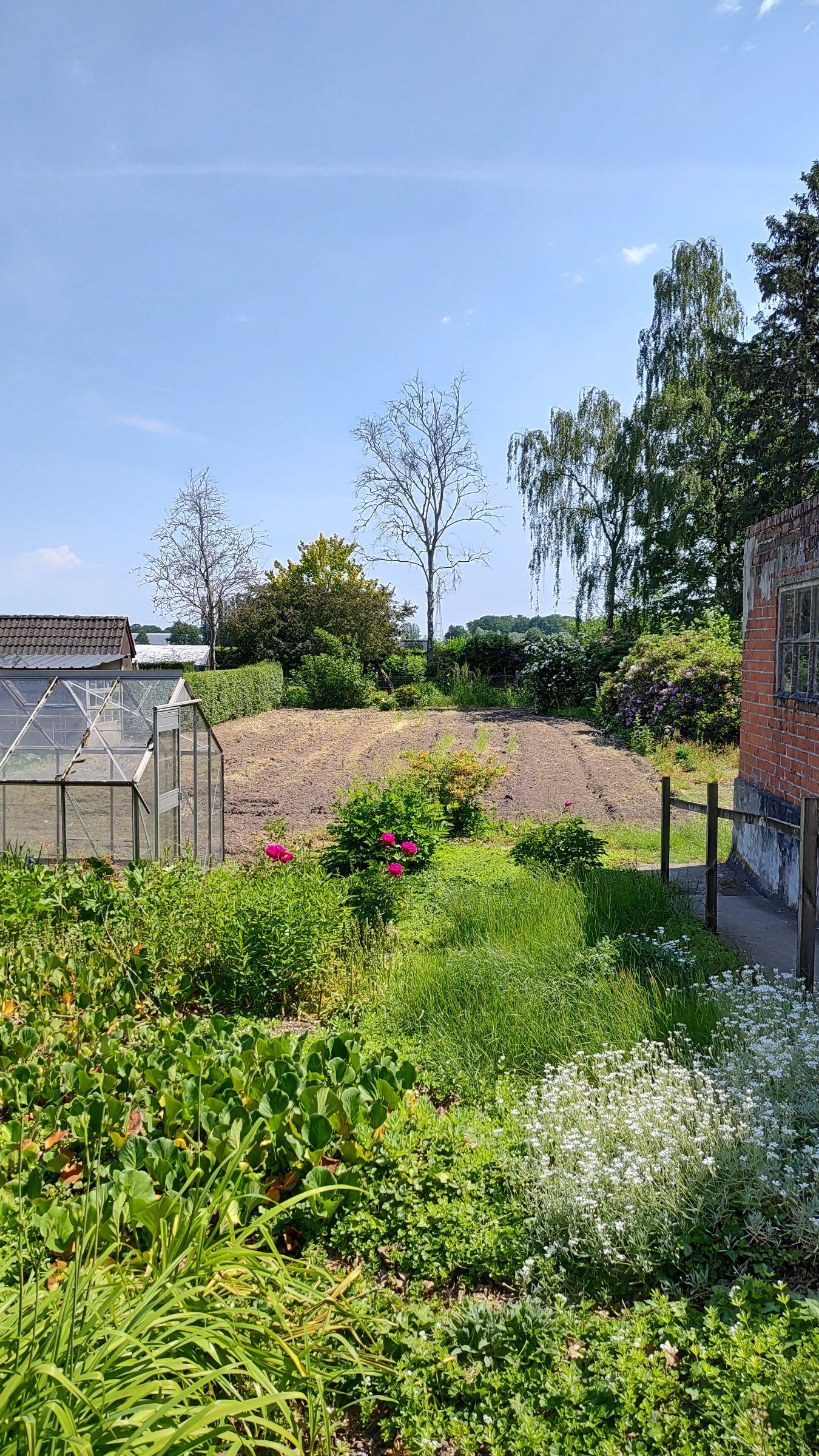 Ruime, lichte, op te frissen woning met centrale ligging. - foto 4