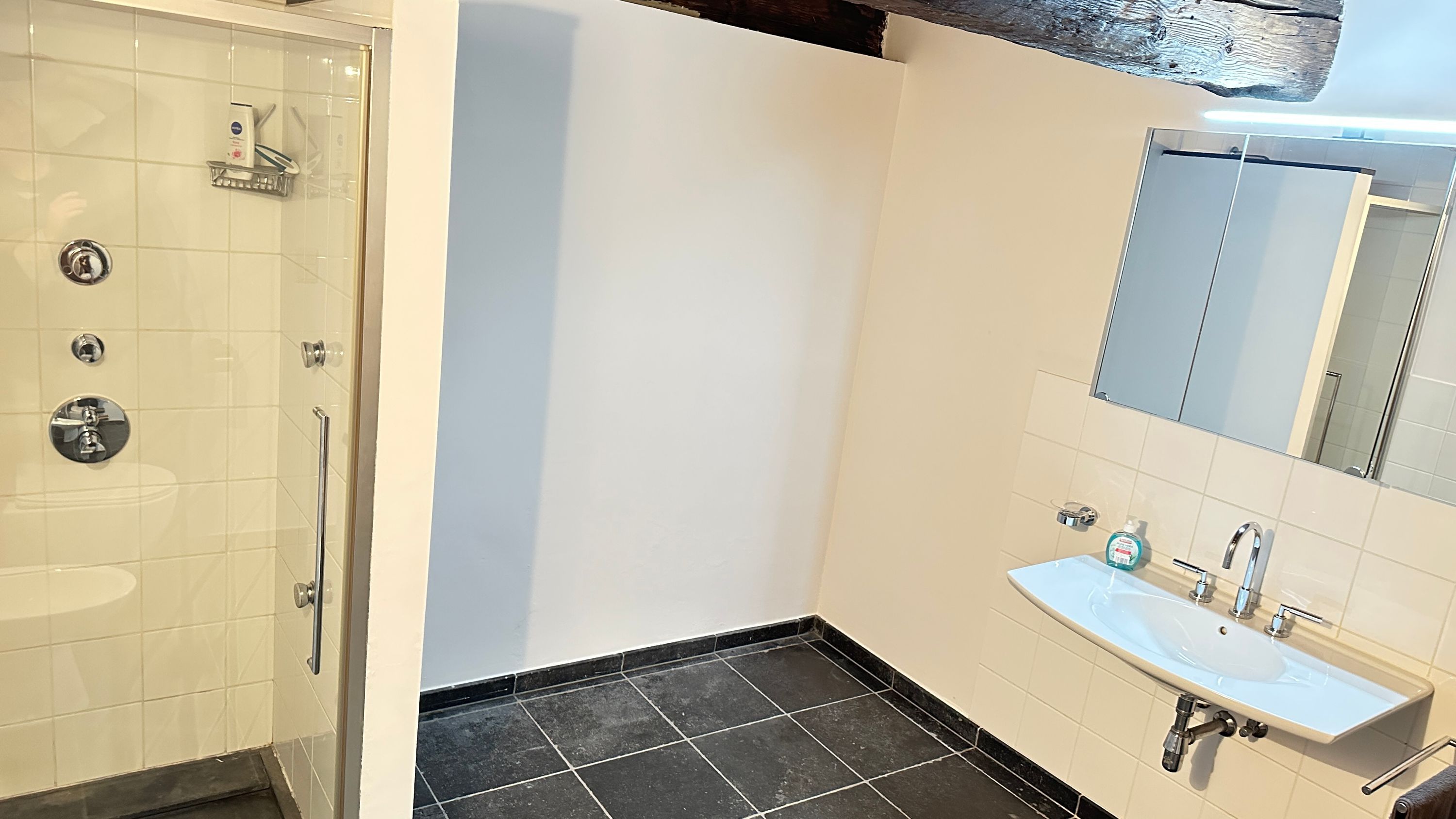 Unieke woning met enorme loods (320 m²) en oase van rust in hartje Lebbeke - foto 8