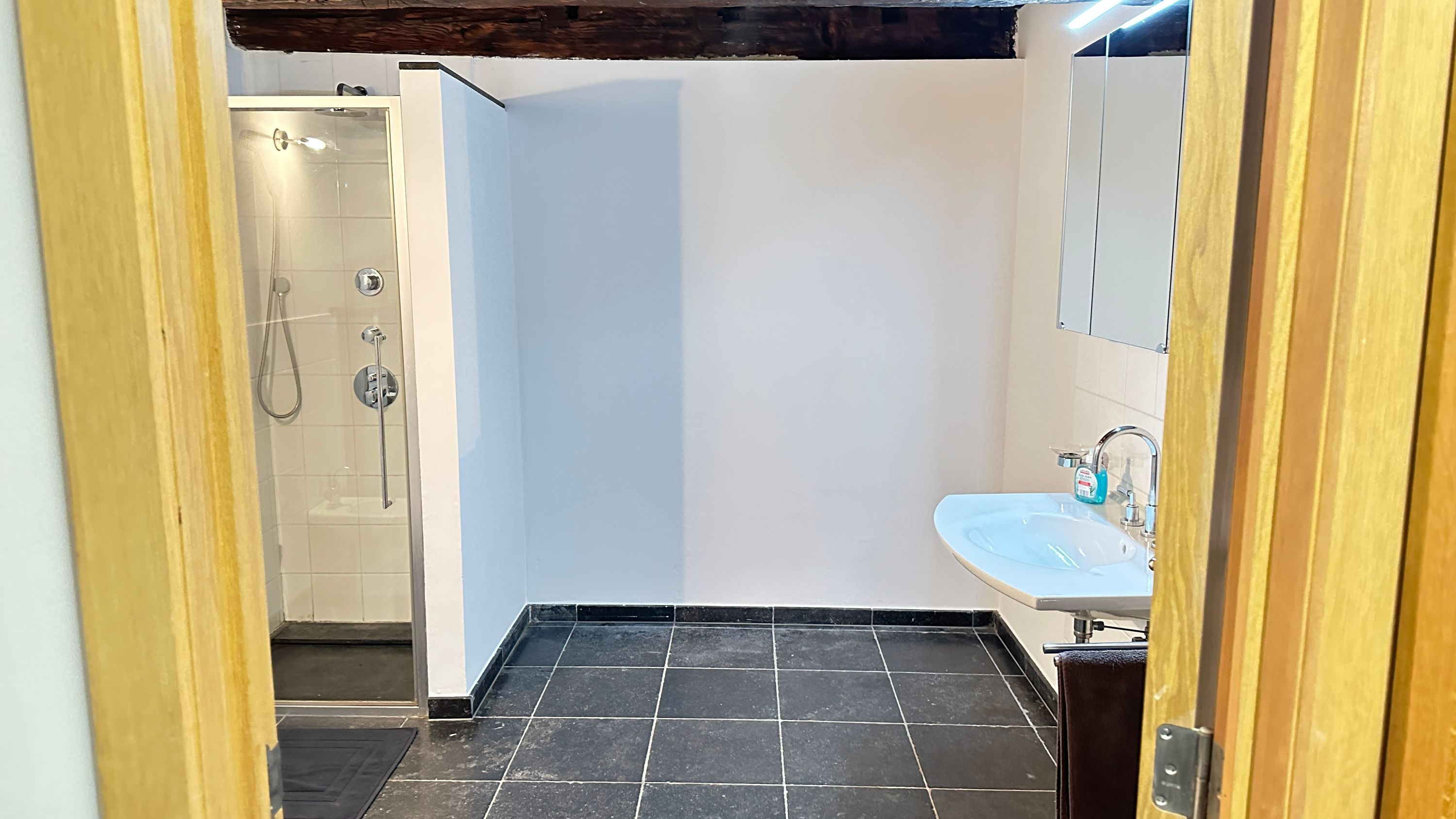 Unieke woning met enorme loods (320 m²) en oase van rust in hartje Lebbeke - foto 10