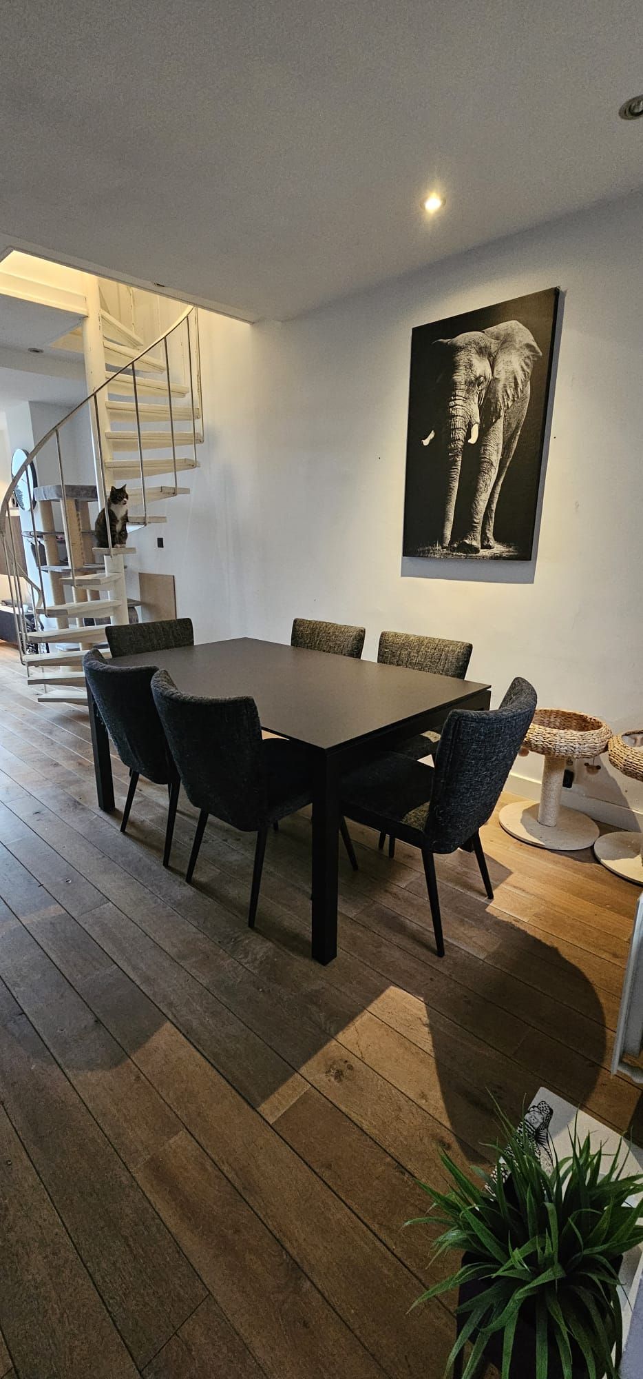 Gezinswoning met 3 slaapkamers en zuid-tuin - foto 5