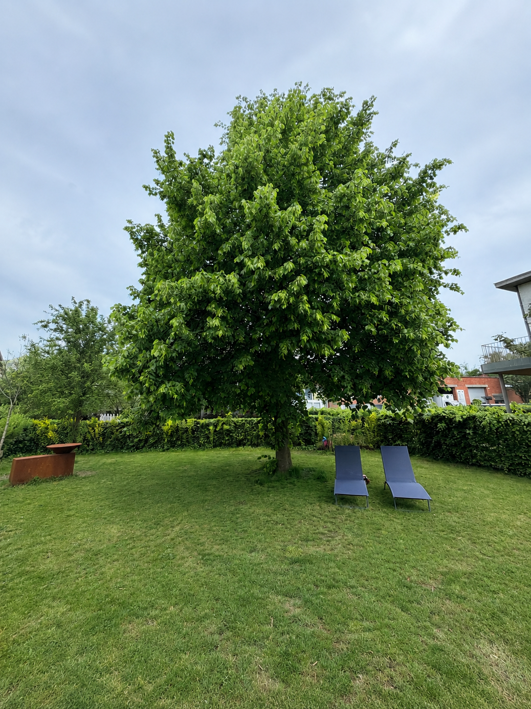 Halfopen BEN-woning met tuin en garage bij Gent - foto 10