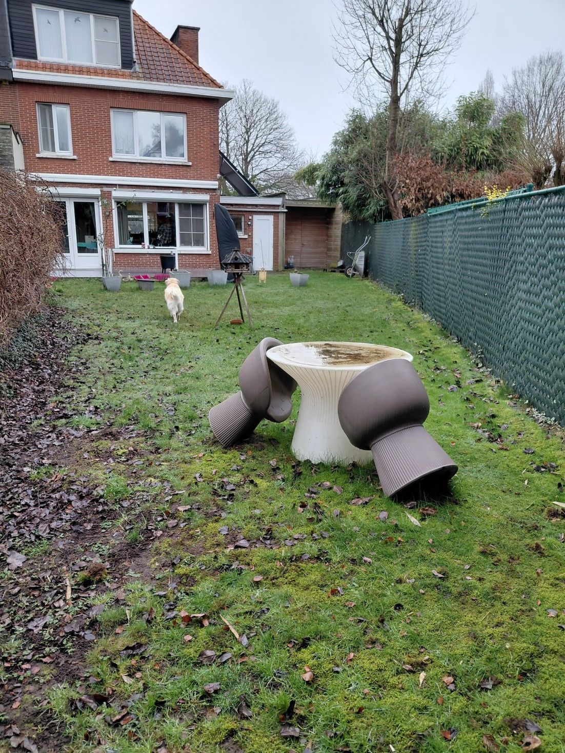 HOB Eensgezinswoning te koop - Edegem Centrum-Molenveld - foto 7