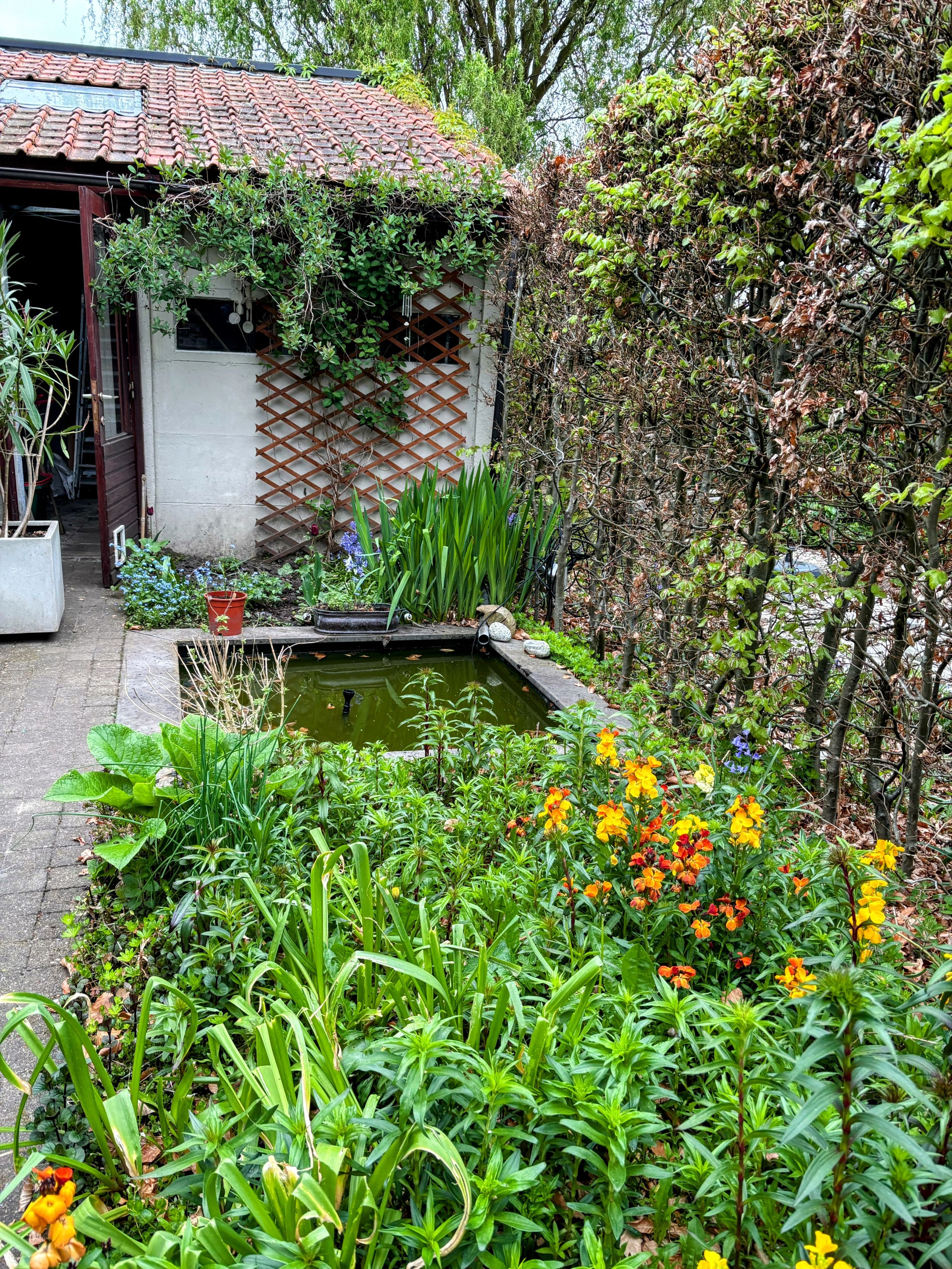 Gerenoveerde interbellum woning met 3 slaapkamers en stadstuin. - foto 8