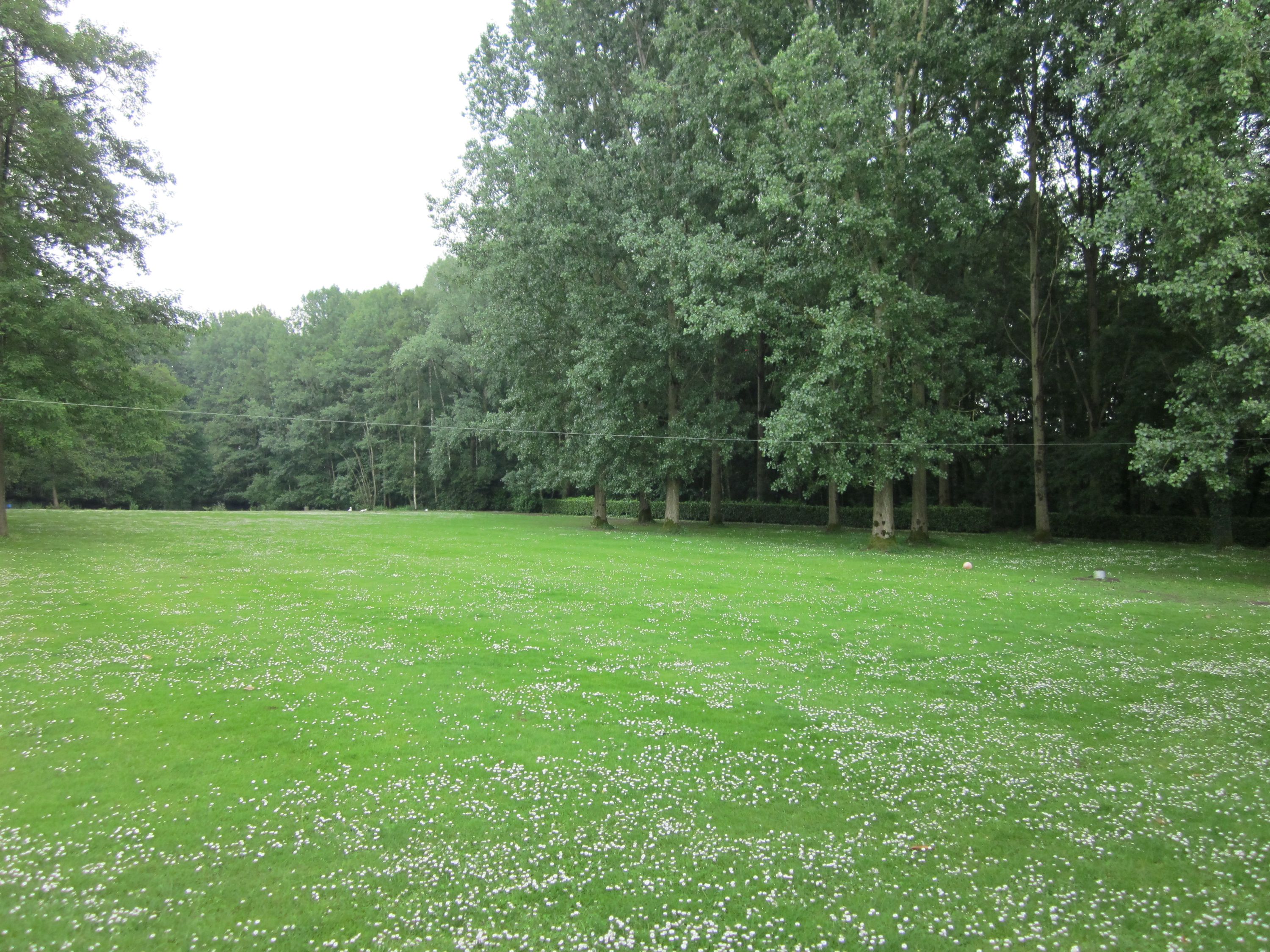 Uitzonderlijk rustig gelegen villa in park - foto 2
