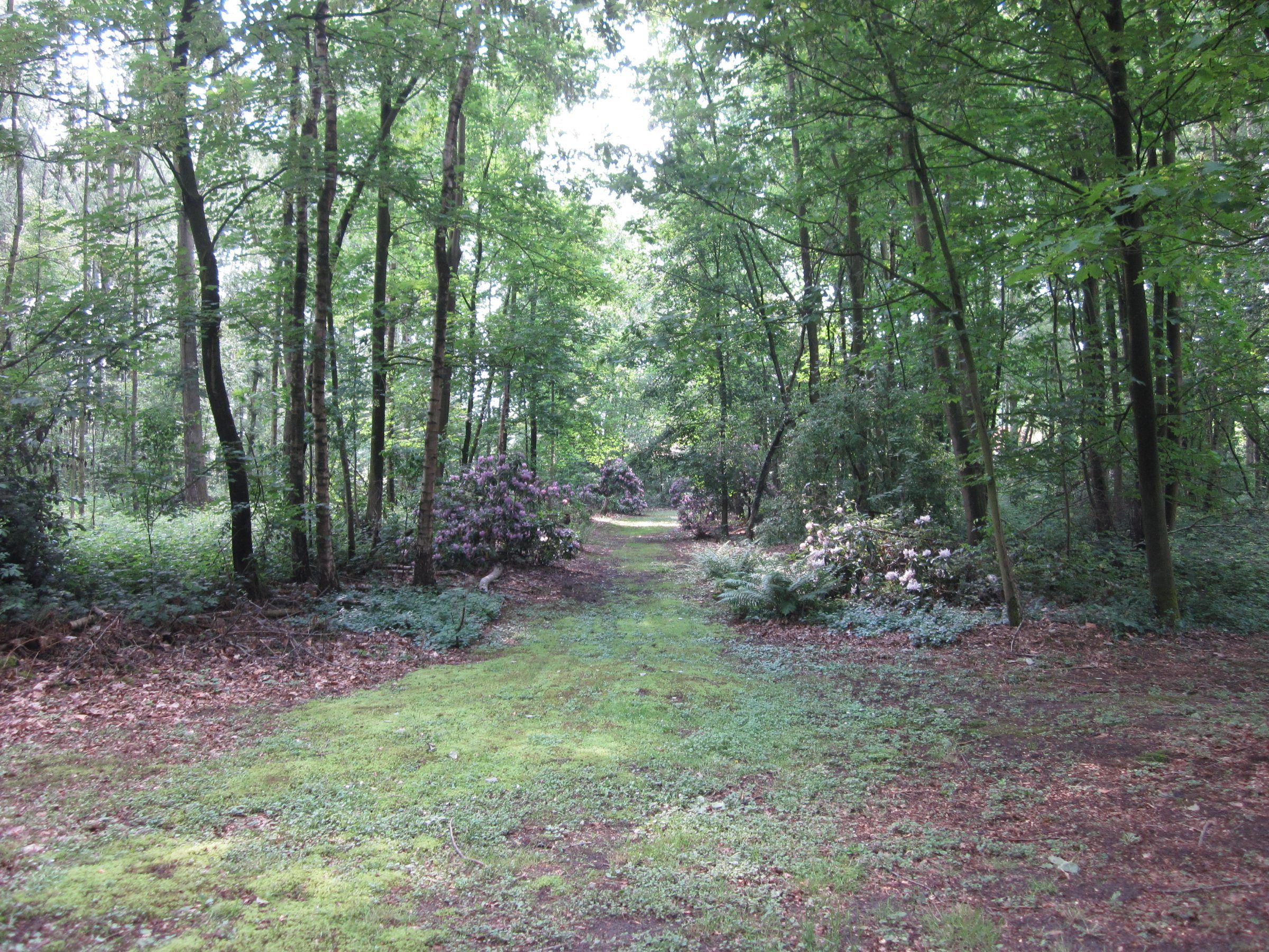 Uitzonderlijk rustig gelegen villa in park - foto 21