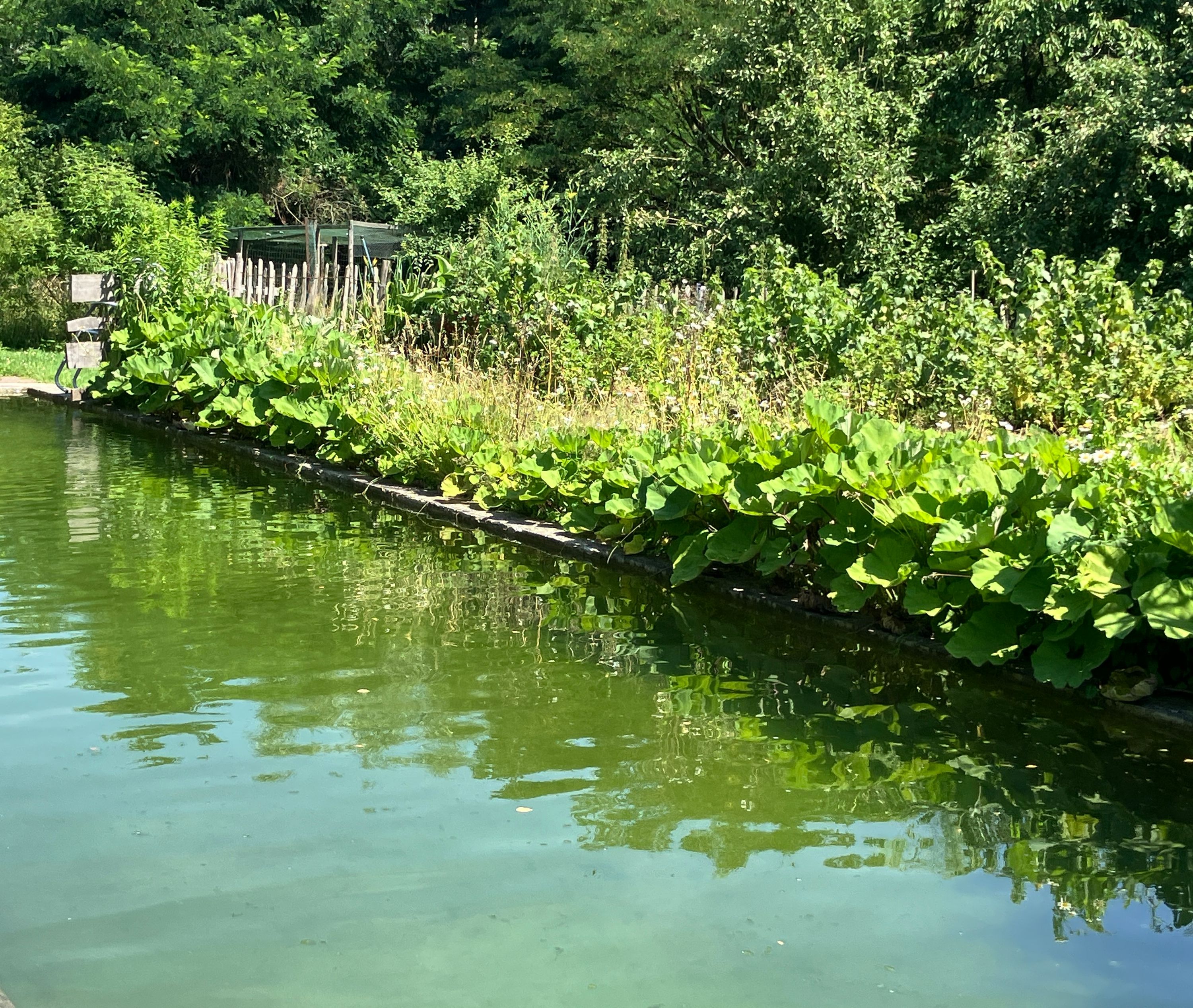 Ecologisch gerestaureerde hoeve in agrarisch gebied met permacultuurtuin. - foto 2