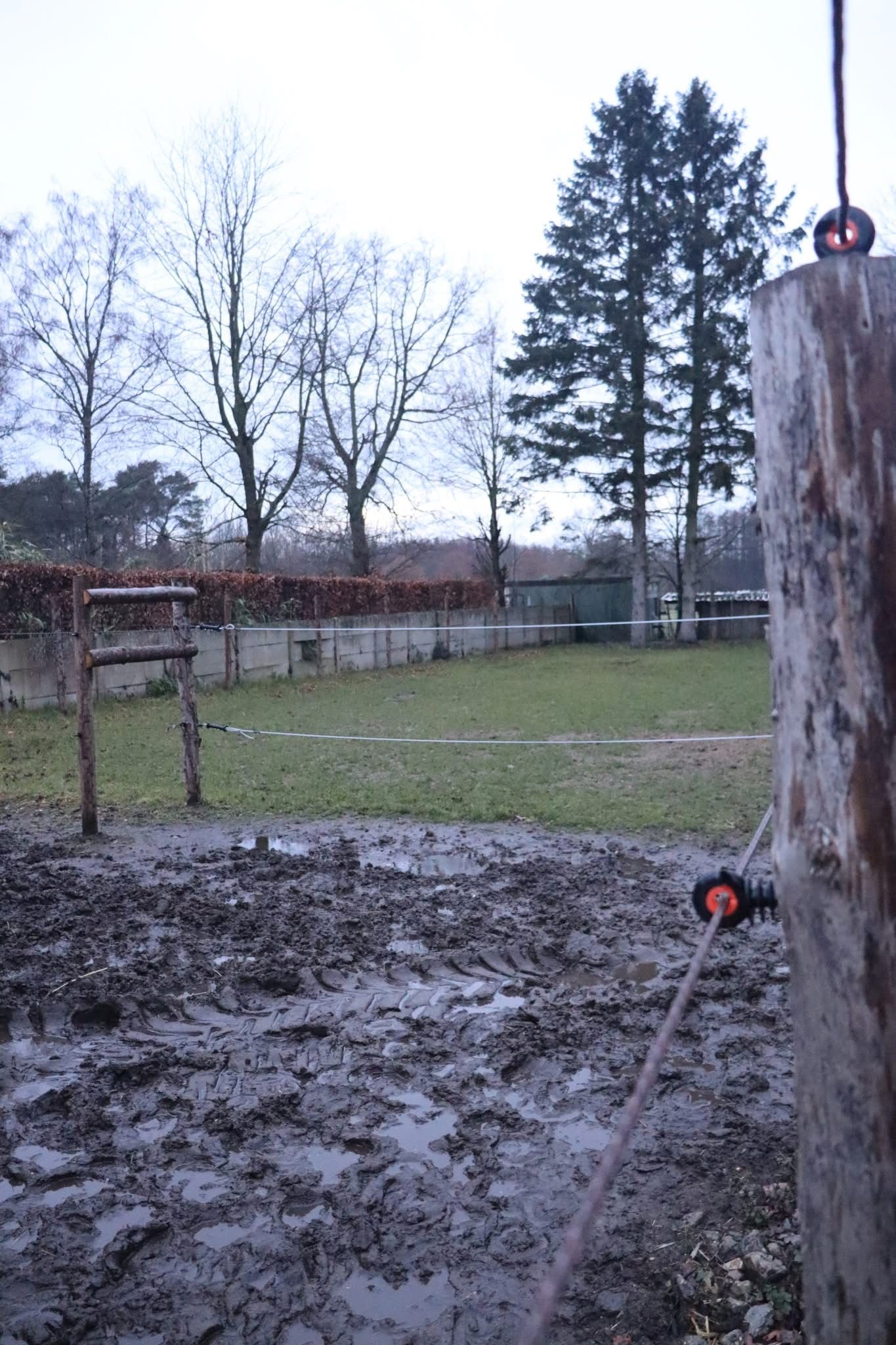 Instapklare gelijkvloerse woning in  - foto 10