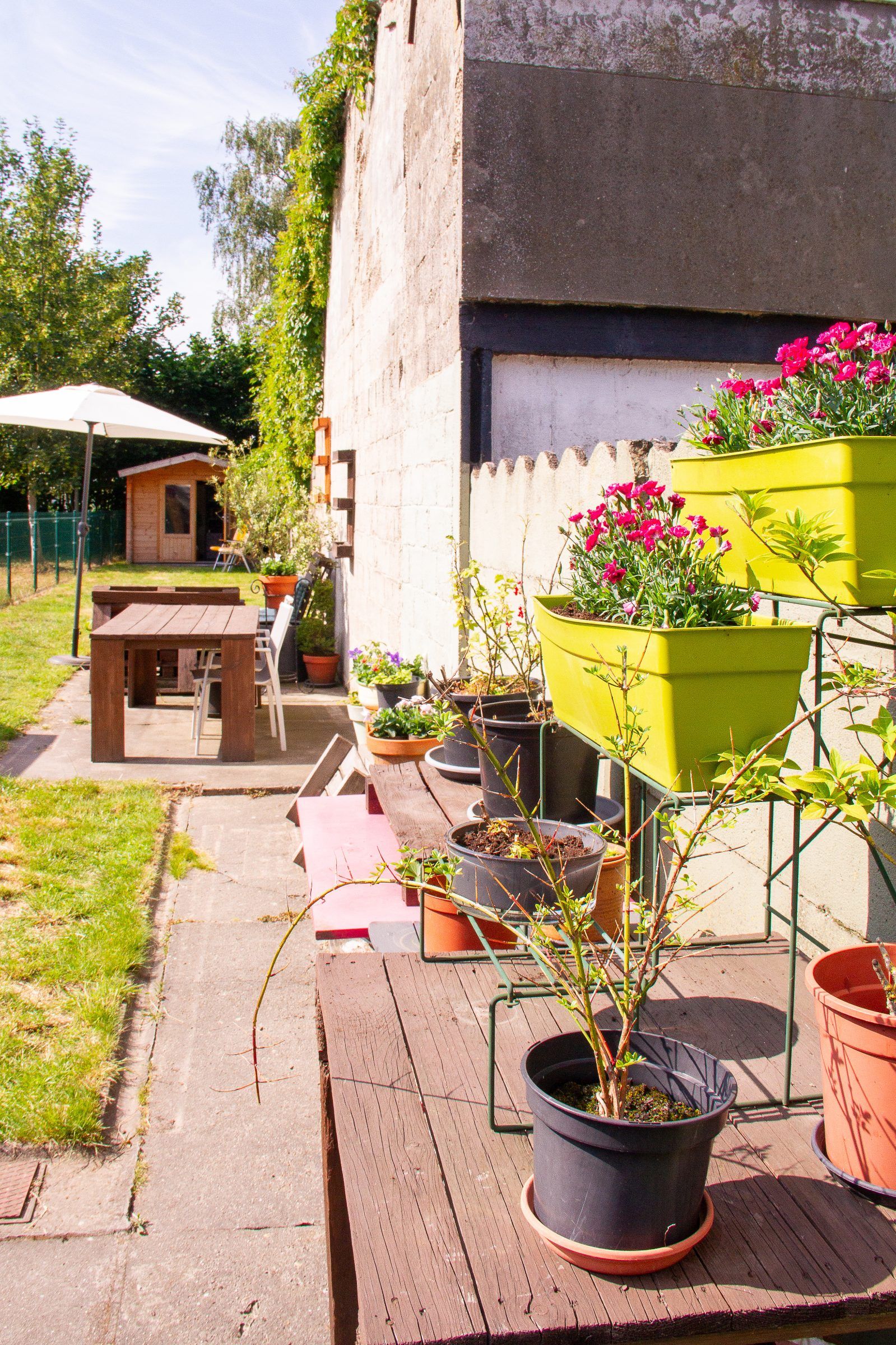 Instapklaar huis met 3 slaapkamers en zonnige tuin - foto 9
